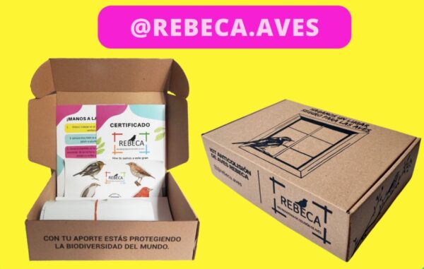 Kit anticolisiones REBECA